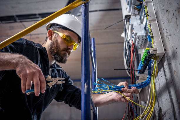Best 24-Hour Electrician  in Collinwood, TN