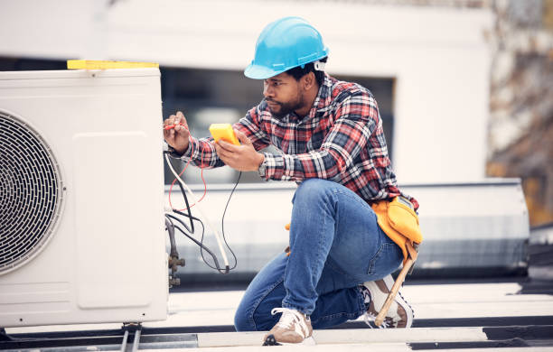 Best Licensed Electrician  in Collinwood, TN